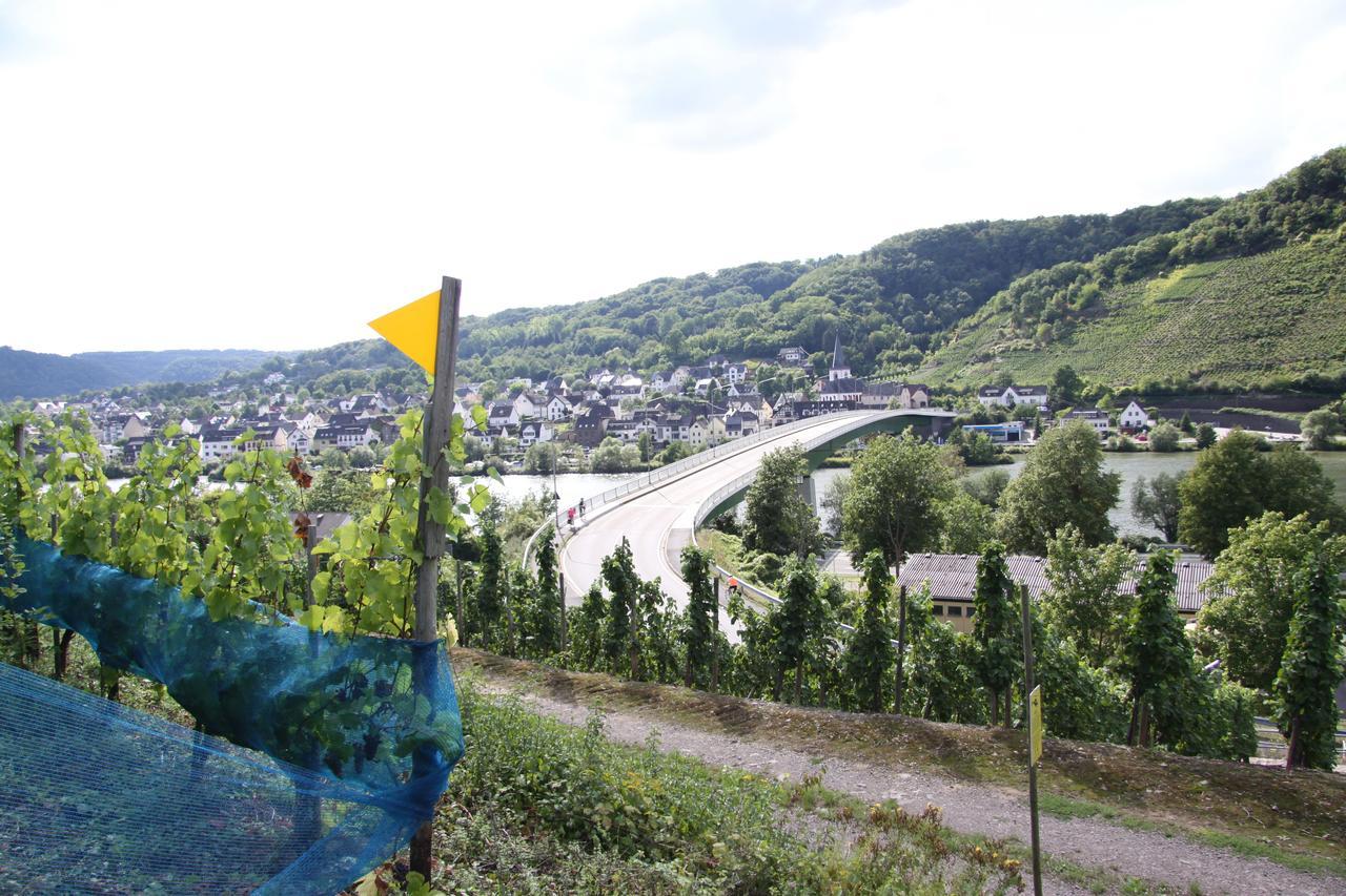 Ferienwohnungen im Moseltal Löf Exterior foto